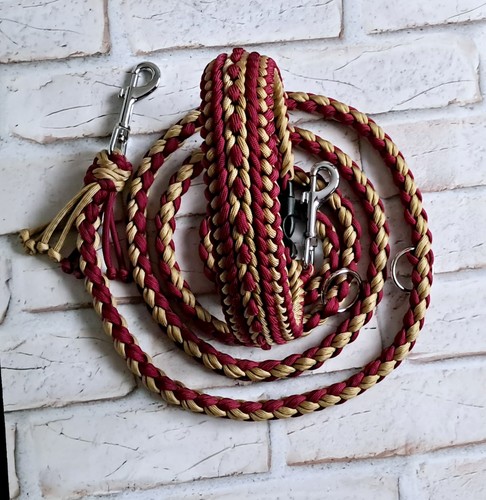 Set halsband leine - set, +